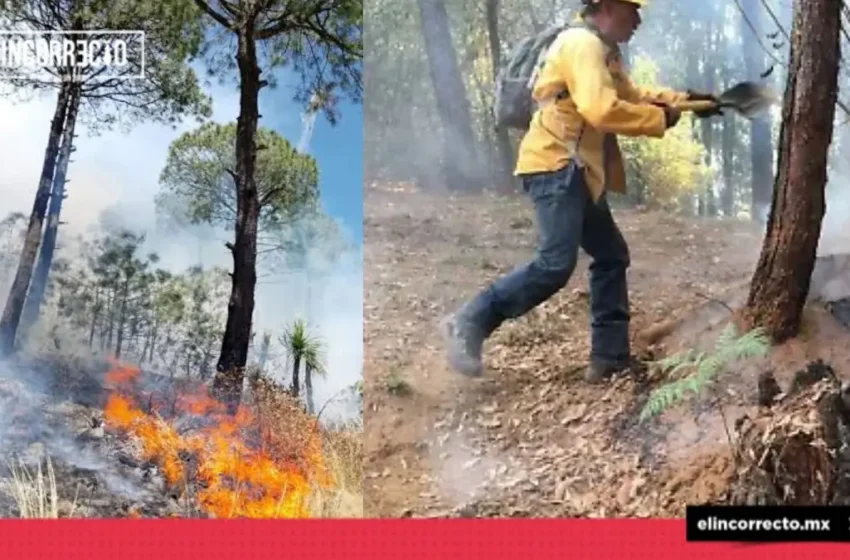  Con helicóptero y 90 brigadistas, refuerza combate contra incendio forestal en Libres