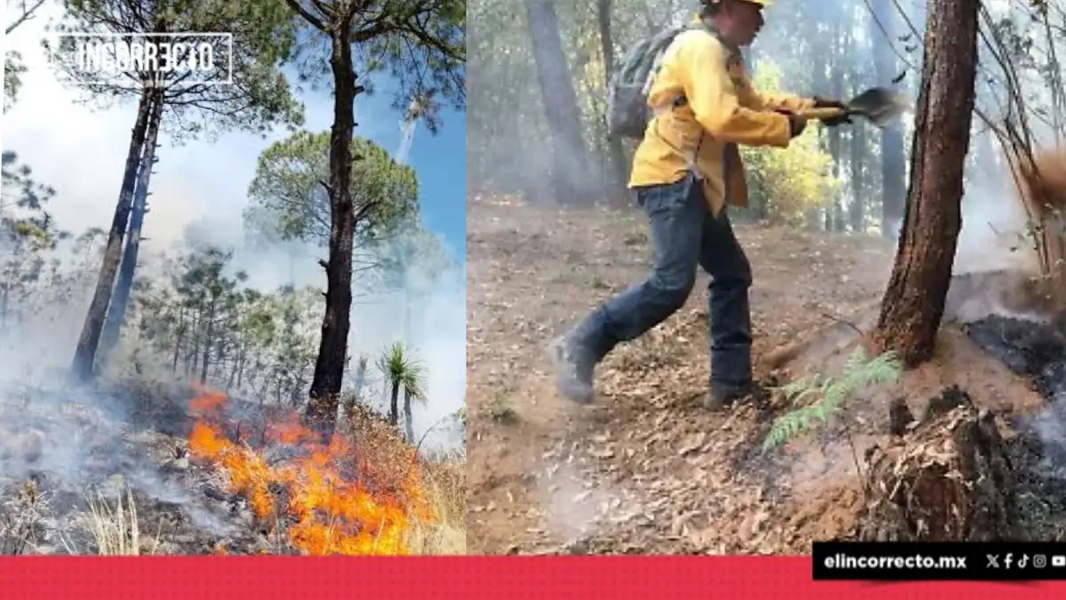 Con helicóptero y 90 brigadistas, refuerza combate contra incendio forestal en Libres