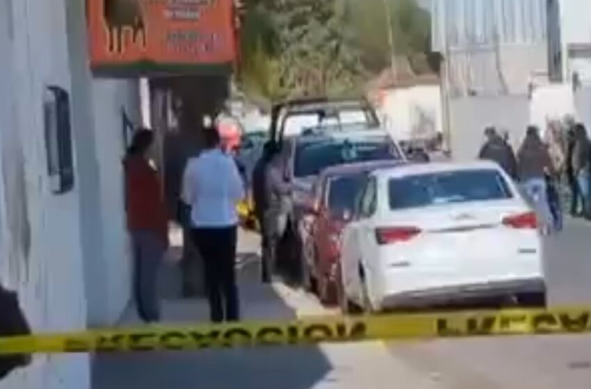  ¡Jaguar en Puebla! Encuentran felino en cateo cerca del Rastro Municipal