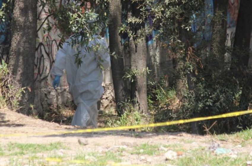  ¡Indignante! Hallan cuerpo de mujer con huellas de tortura en Acatzingo, Puebla