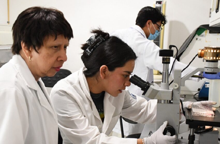  Con modelos computacionales, investigadores BUAP predicen y describen la regeneración epitelial