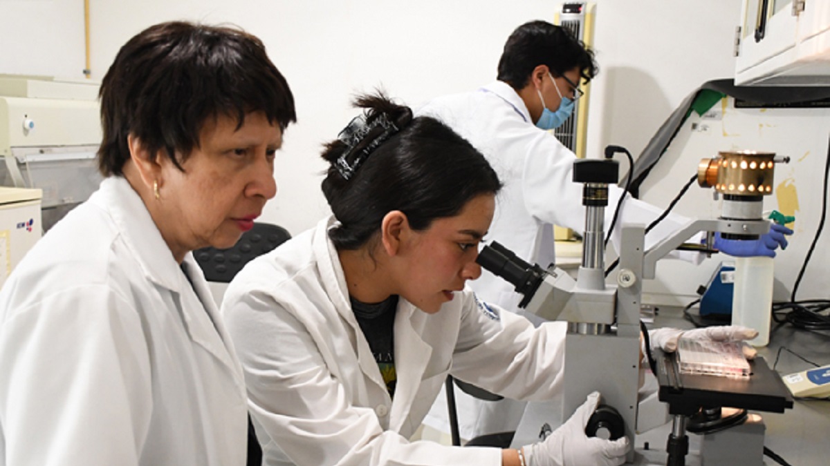 Con modelos computacionales, investigadores BUAP predicen y describen la regeneración epitelial