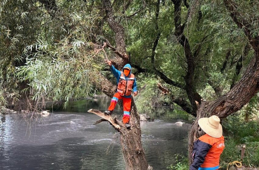  Trabaja Gobierno de la Ciudad en acciones de limpieza preventivas y correctivas previo al inicio de las lluvias