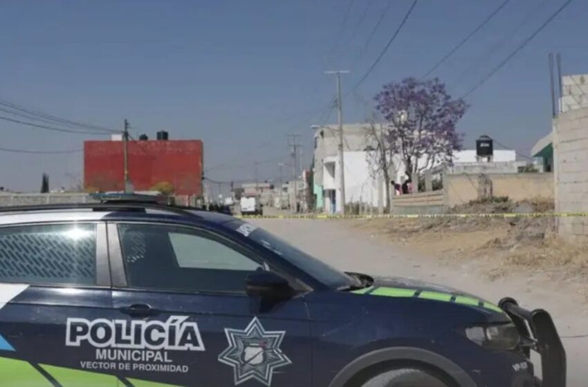  Gloria, de 45 años, fue apuñalada por su pareja dentro de su casa en Puebla