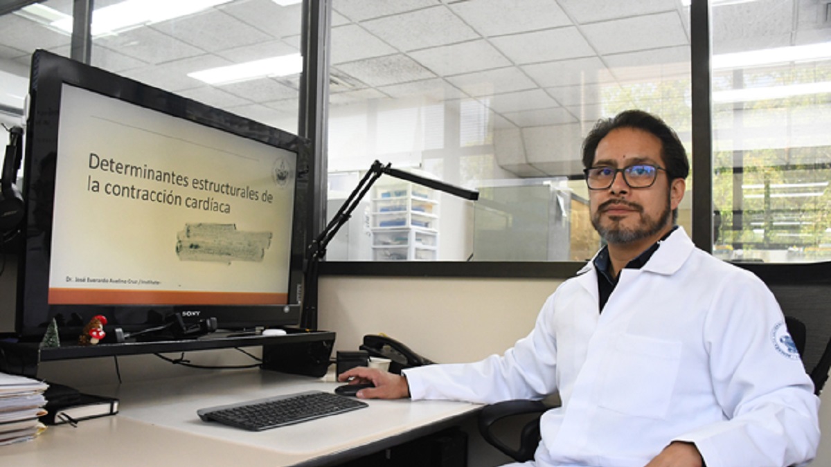 En el Instituto de Fisiología reside uno de los pocos grupos del país que estudia la relación estructura-función en las células cardiacas