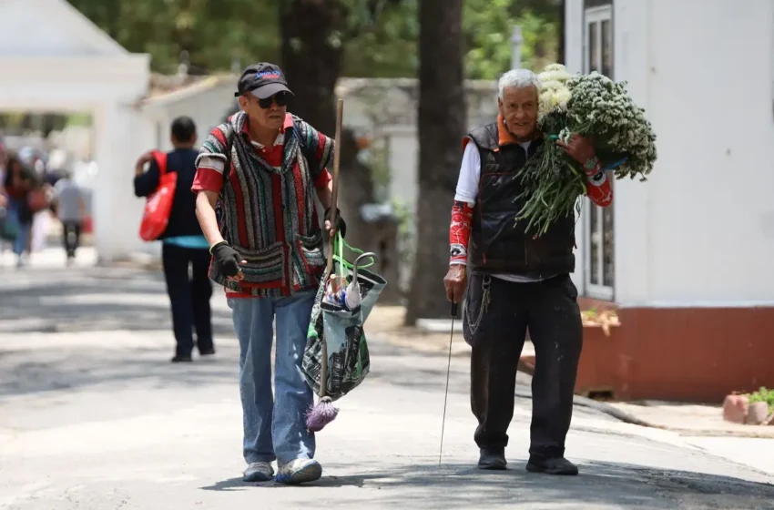  Floristas prevén vender el 50% de su mercancía por el día del padre
