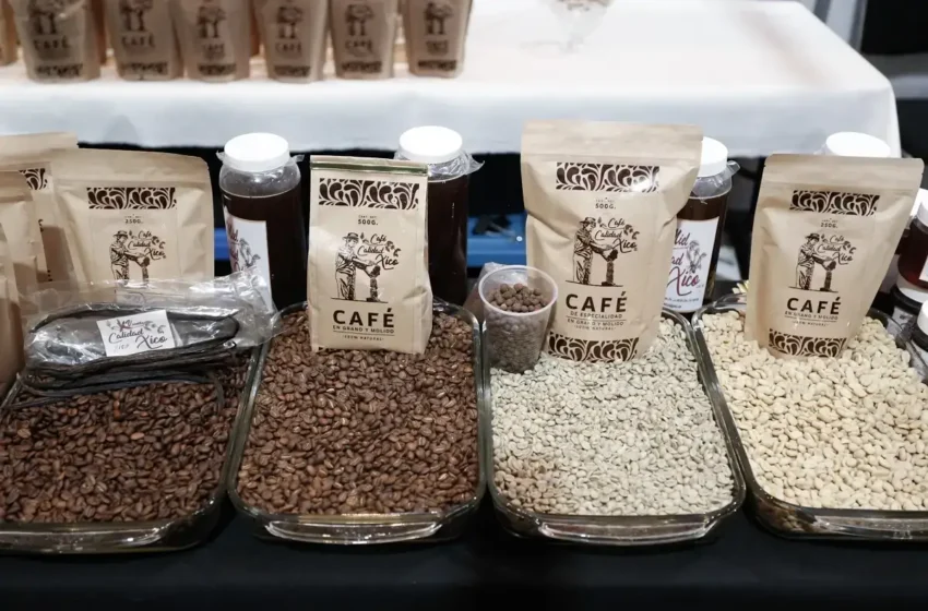  ¿Fan del café? Lánzate a la CONCAFÉ 2025; en donde encontrarás presentaciones con mezcal y liofilizado