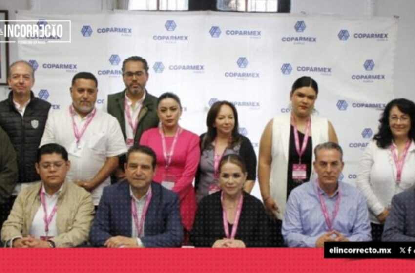  Se registra baja participación en las elecciones del Poder Judicial