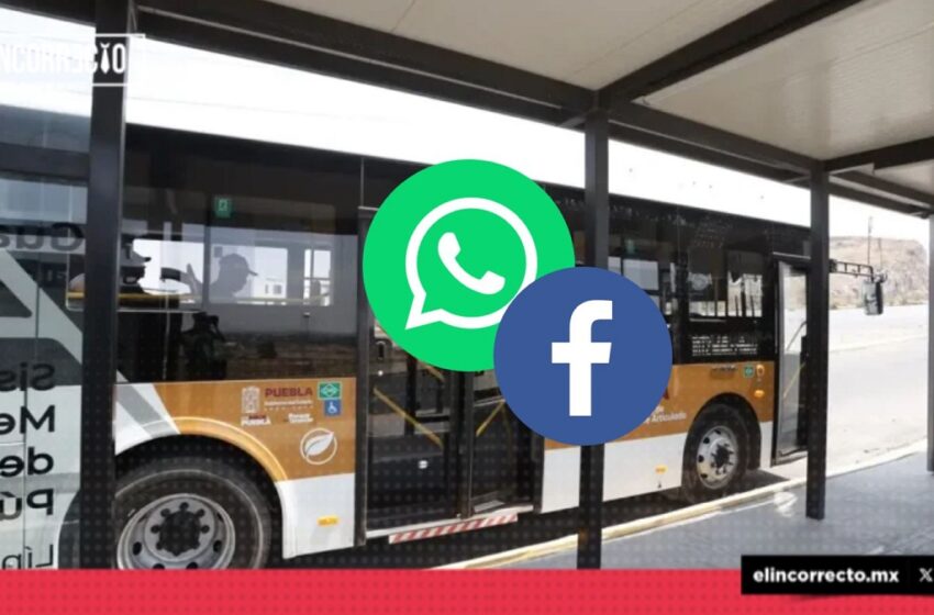  ¡Face y WhatsApp! Habrá Internet en las cuatro líneas de RUTA