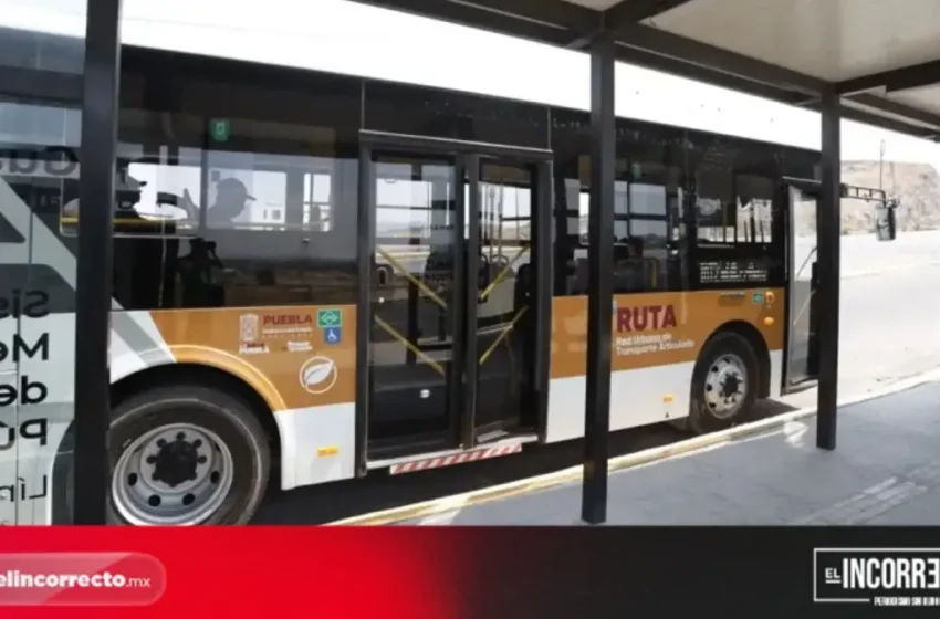  RUTA Puebla transportó 323 mil usuarios menos en abril por Semana Santa: INEGI