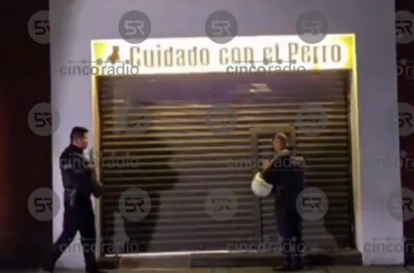  Denuncian a empleado de «Cuidado con el Perro» en Puebla por presunta grabación a menor en probador.
