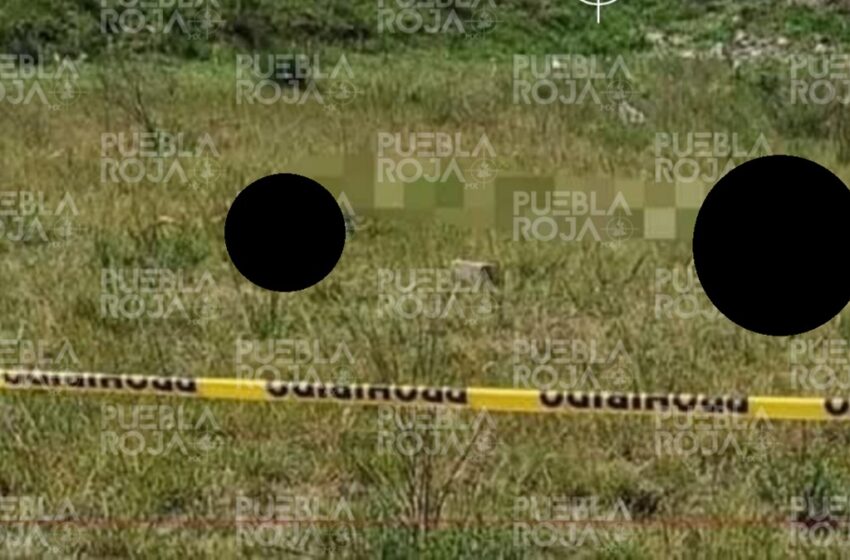  Macabro hallazgo; Pareja ejecutada en Amozoc: los abandonan junto a la autopista con múltiples disparos