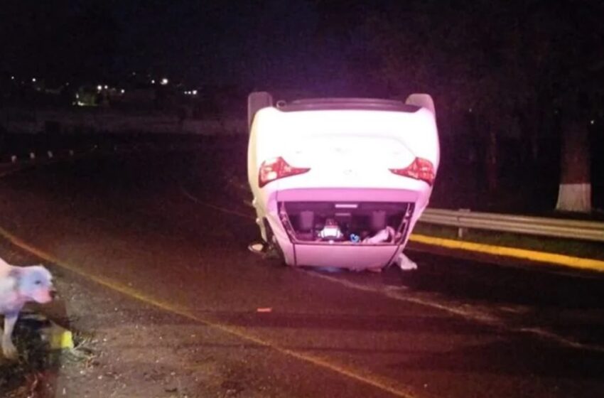  Muere conductor al volcar su auto en Covadonga: no llevaba cinturón de seguridad