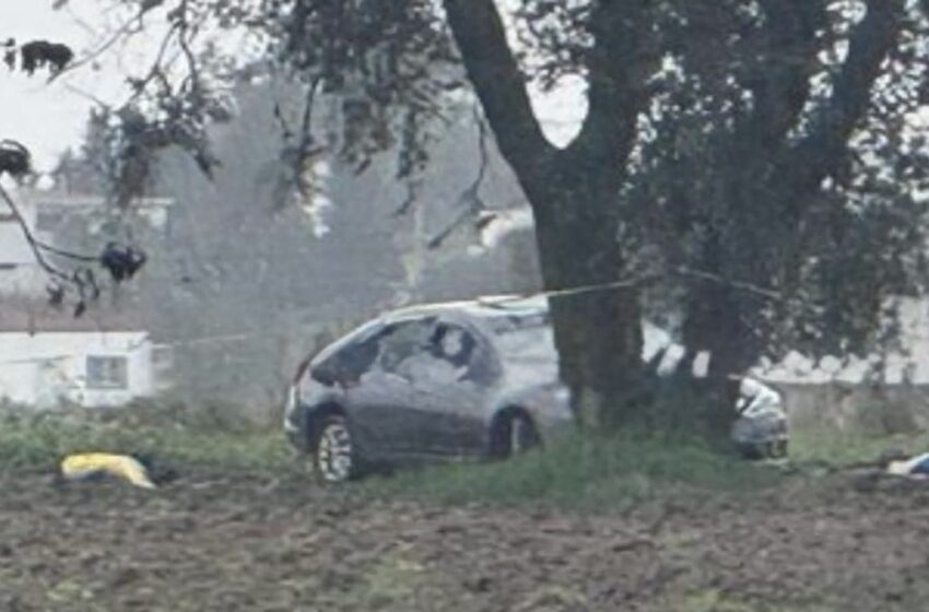  Otra escena de terror en Puebla: ejecutan a tres en Coronango y los dejan en campos de cultivo