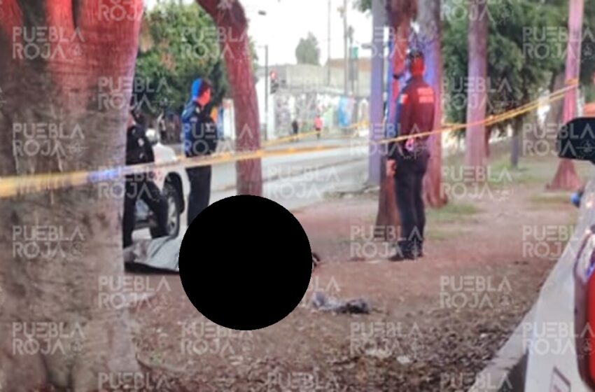  Lo tiraron como basura: abandonan cadáver golpeado cerca del mercado Hidalgo en Puebla