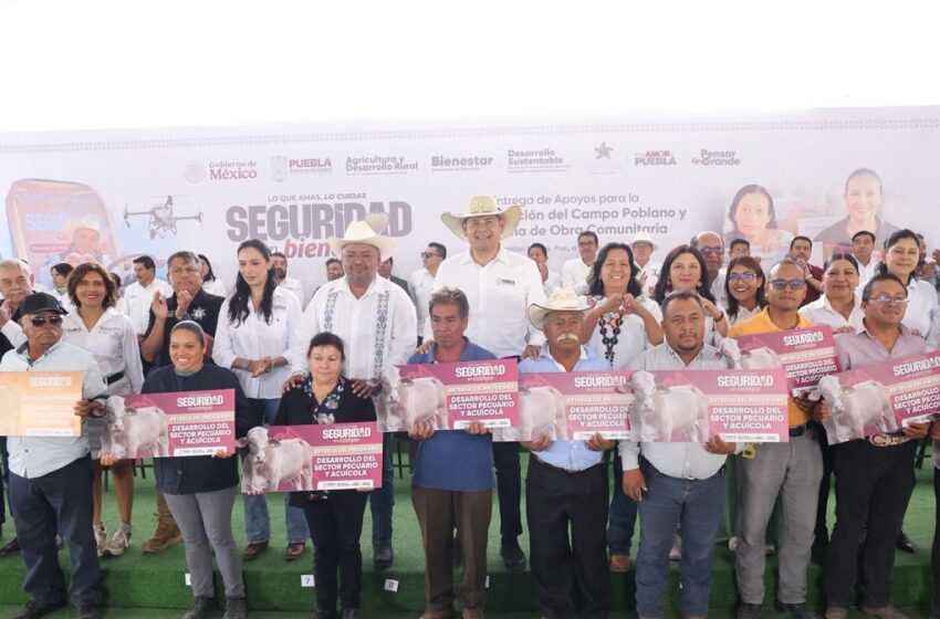  Acelera Armenta el desarrollo de la Sierra Negra con apoyos comunitarios y al campo