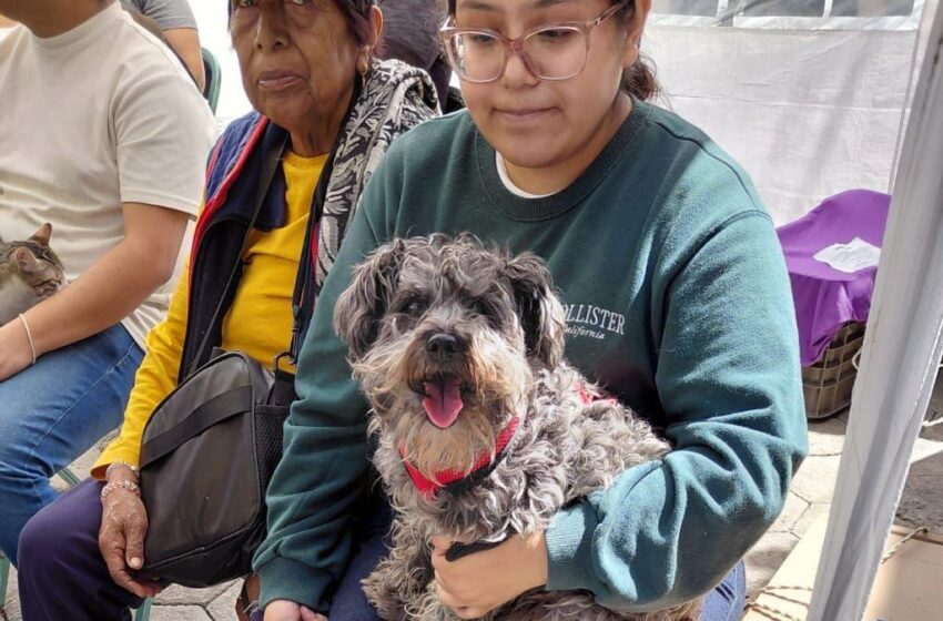  Acerca Gobierno de la Ciudad servicios de bienestar animal a colonias del municipio