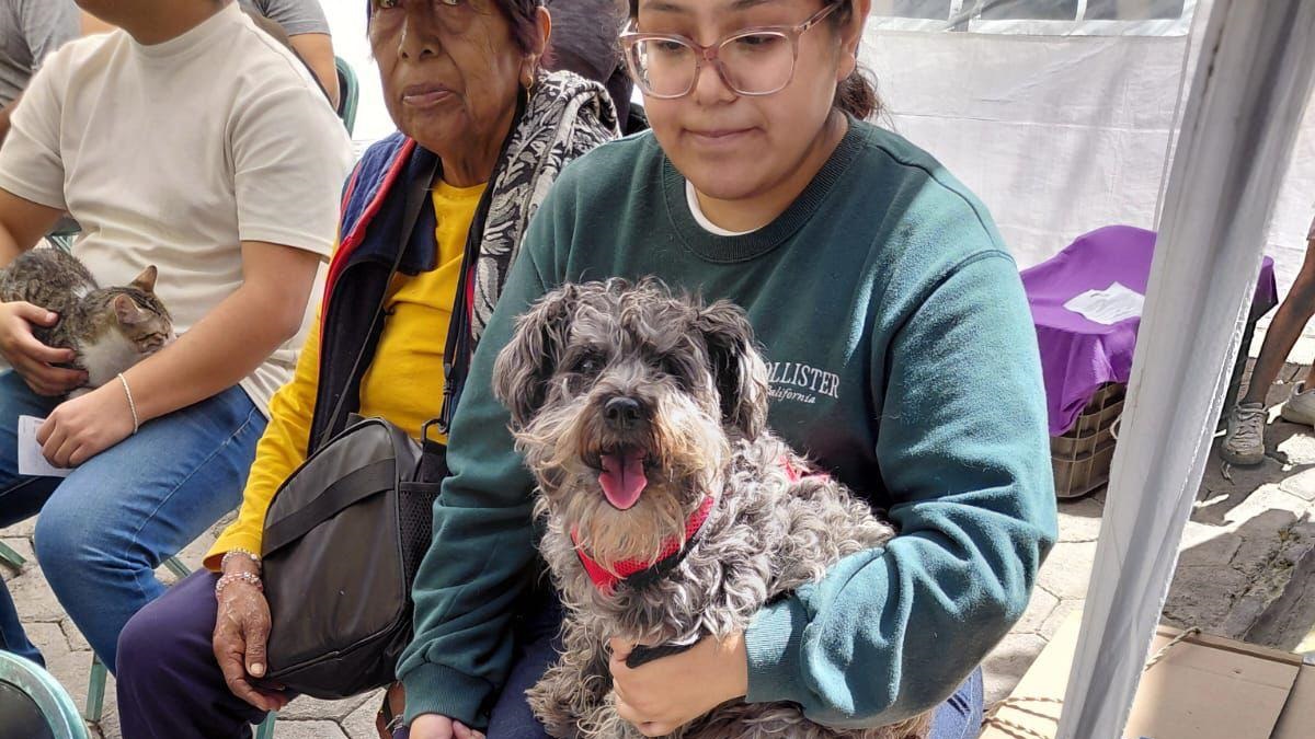 Acerca Gobierno de la Ciudad servicios de bienestar animal a colonias del municipio