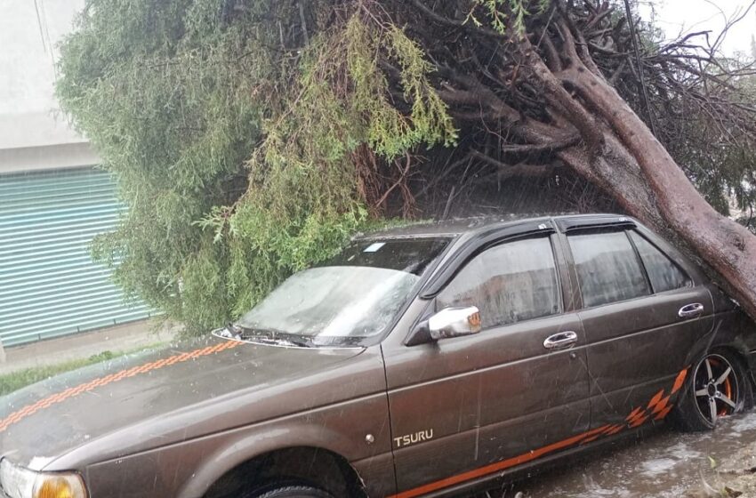  Activa Gobierno de la Ciudad protocolos de atención por lluvias en distintos puntos del municipio