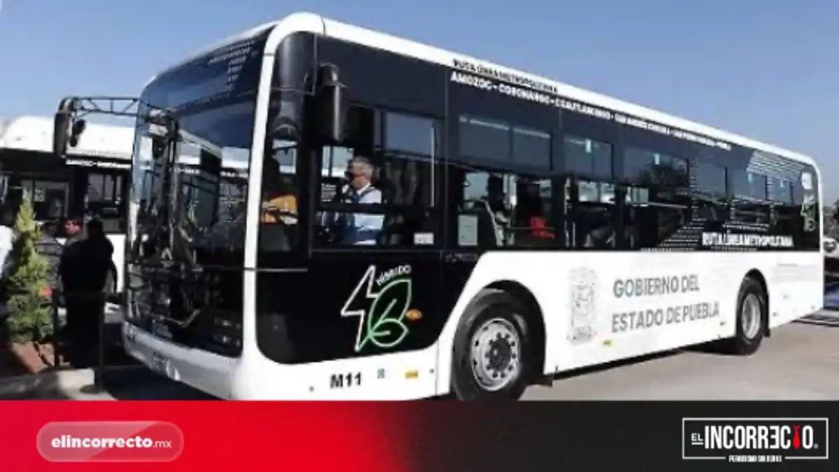 Asegura Norma Layón que RUTA es el medio de transporte más seguro de Puebla