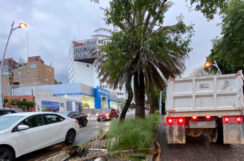  Atiende Gobierno de la Ciudad reportes en distintas zonas por lluvias