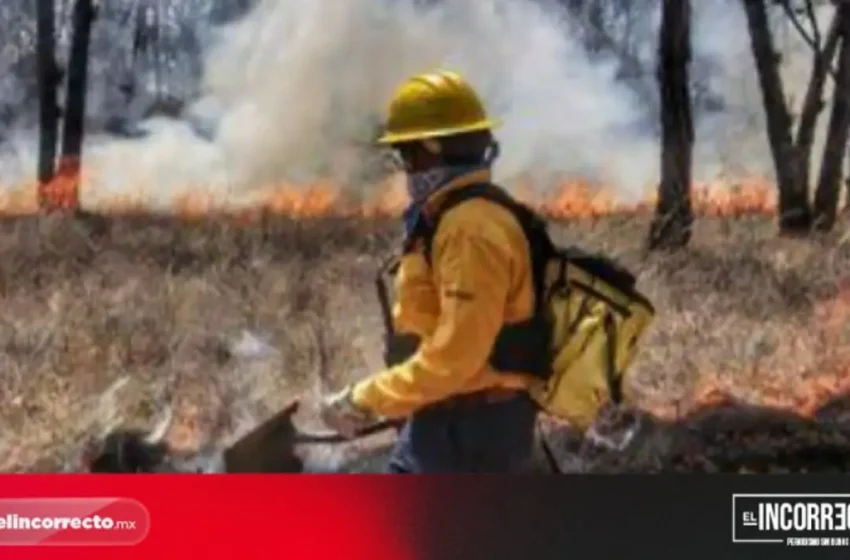  Centro de Control del Fuego se mudará al Parque Bicentenario