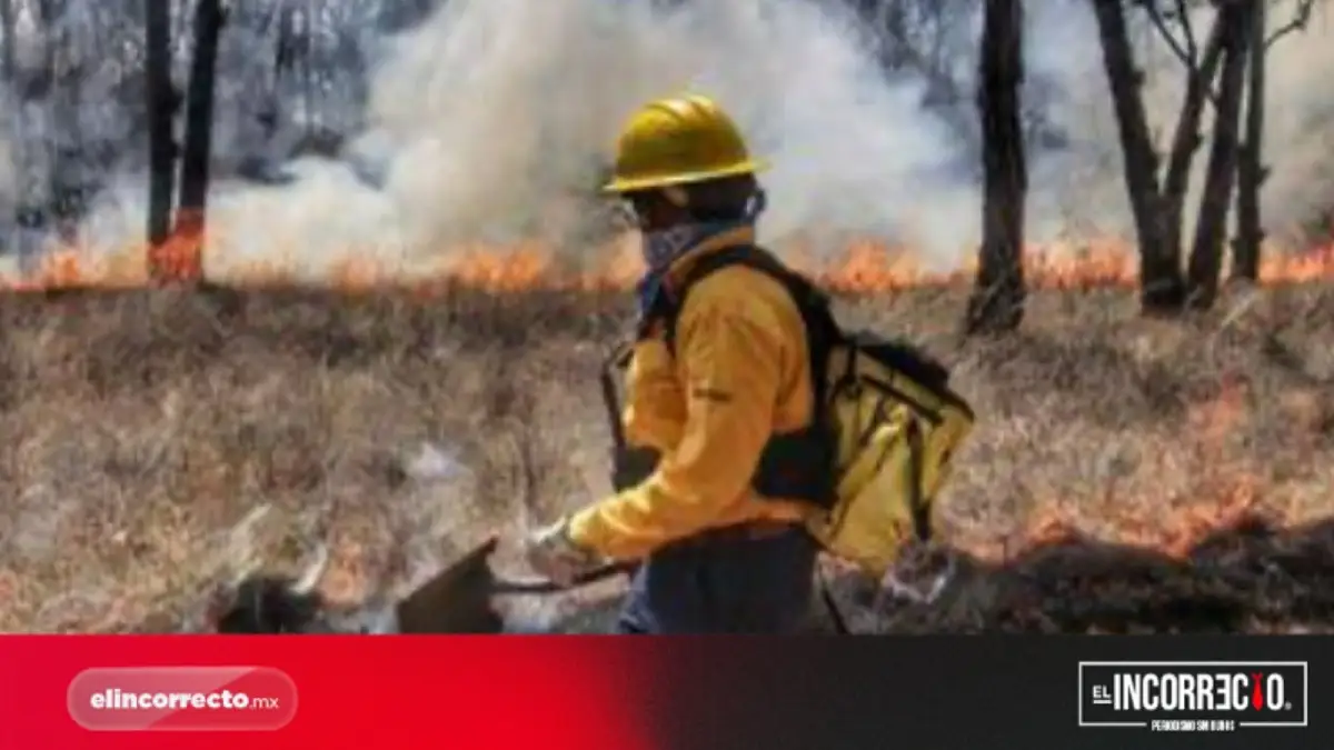 Centro de Control del Fuego se mudará al Parque Bicentenario