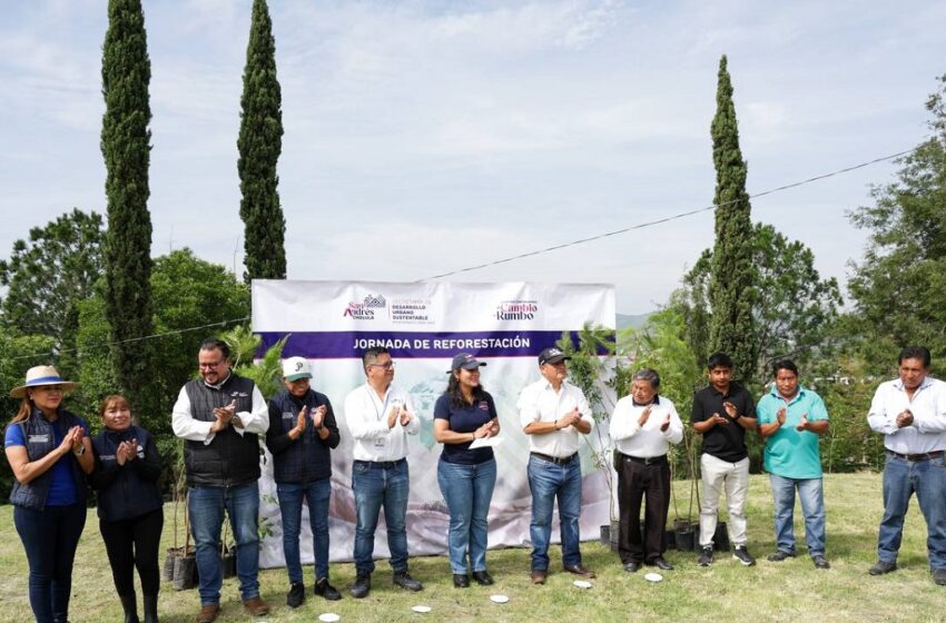  Cerro de San Miguel se consolida como pulmón verde de San Andrés Cholula