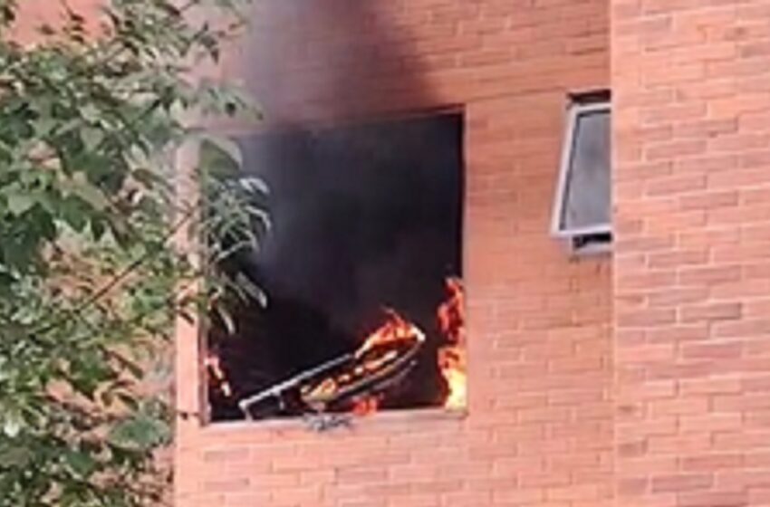  Mascota causa incendio en un departamento de Santa Lucía