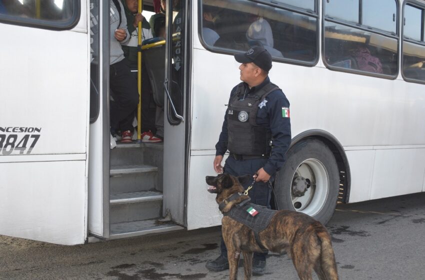  Mediante el operativo Transporte Seguro, la SSC ha inspeccionado más de 6 mil 500 unidades