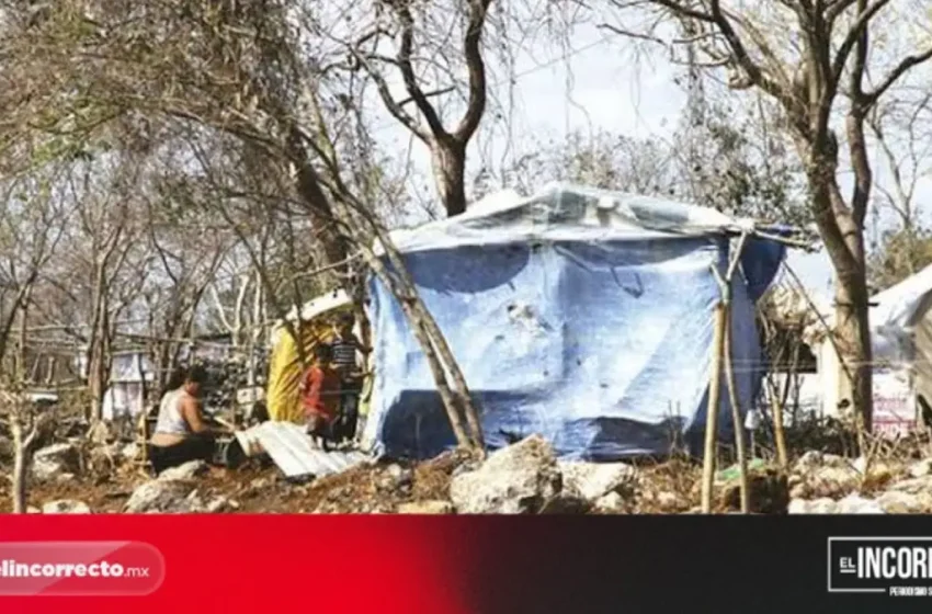  Morena propone 12 años de cárcel por invasión de terrenos en Puebla