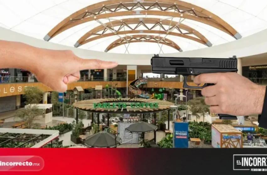  Grupos criminales foráneos delinquen en plazas poblanas: Asociación de Centros Comerciales