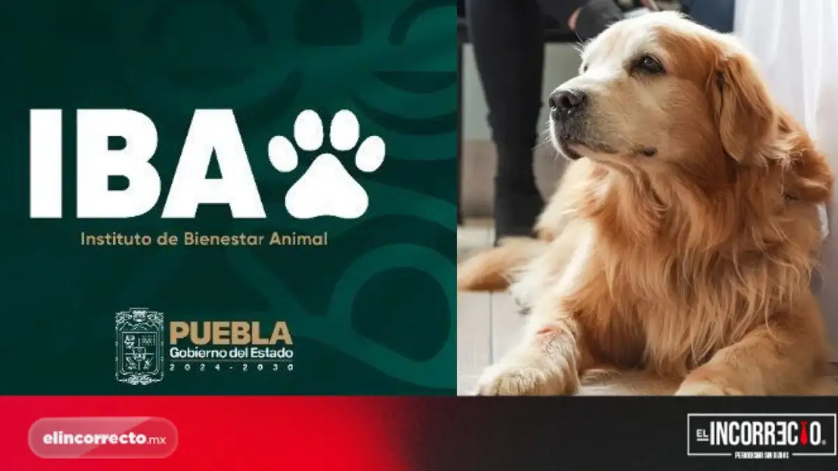 Centro de Bienestar Animal atenderá a mil 500 ejemplares