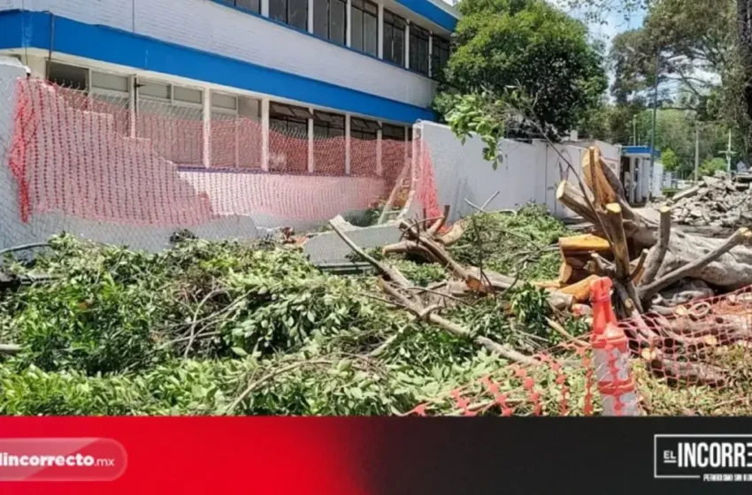  76 escuelas en Puebla sufrieron afectaciones por la lluvia: SEP