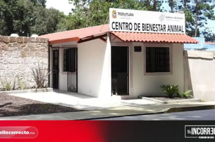  Inicia proceso para construir Centro de Bienestar Animal en el Parque Bicentenario de Puebla