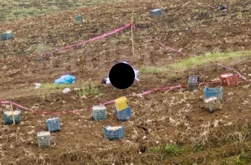  Rayo asesino sorprende a campesino en Puebla: murió al instante mientras cosechaba papas