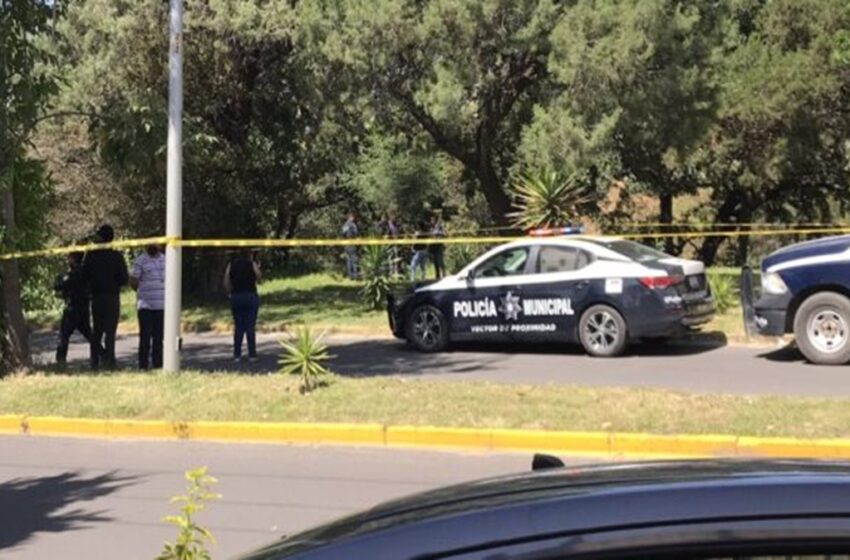  Mujer muere tras caída en barranca en Bosques de San Sebastián; sería parte de «La Familia Michoacana»