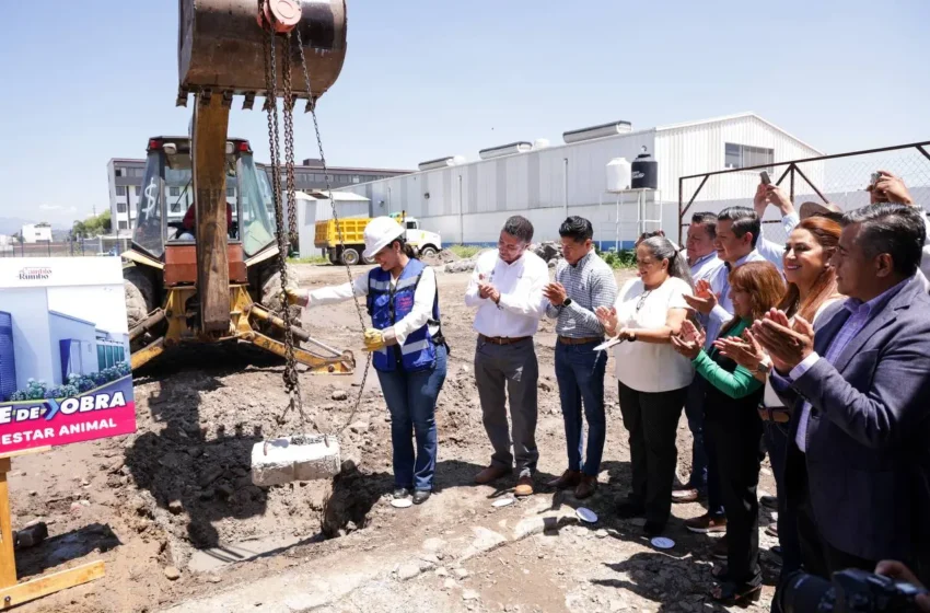  Inicia Lupita Cuautle construcción del primer Centro de Bienestar Animal en San Andrés Cholula