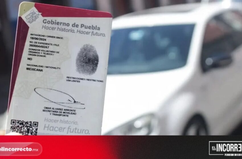  Licencias de conducir falsas en Puebla: SMT alerta sobre venta en plazas comerciales