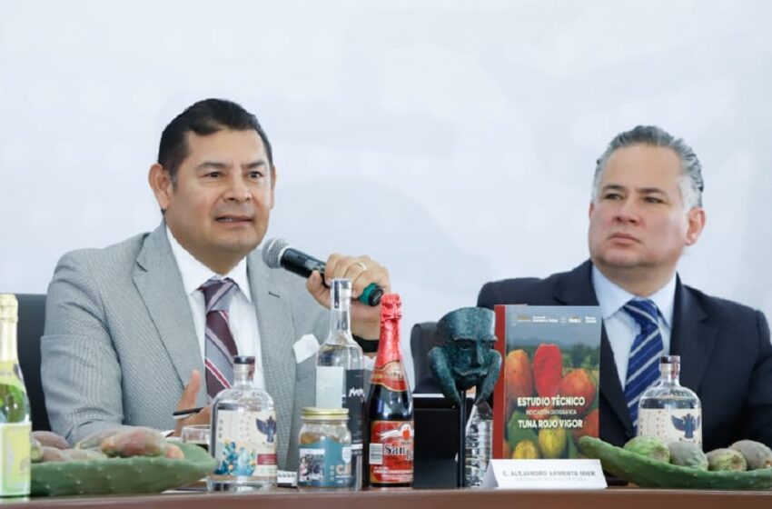 Puebla, líder en certificaciones de Propiedad Intelectual; obtiene 74 y 212 en trámite