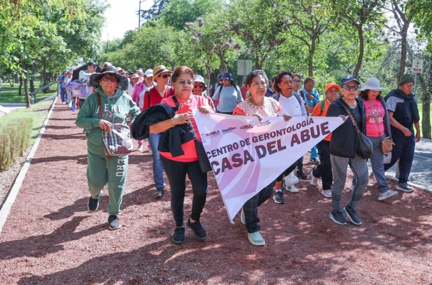  SEDIF realiza caminata para Abuelitas y Abuelitos