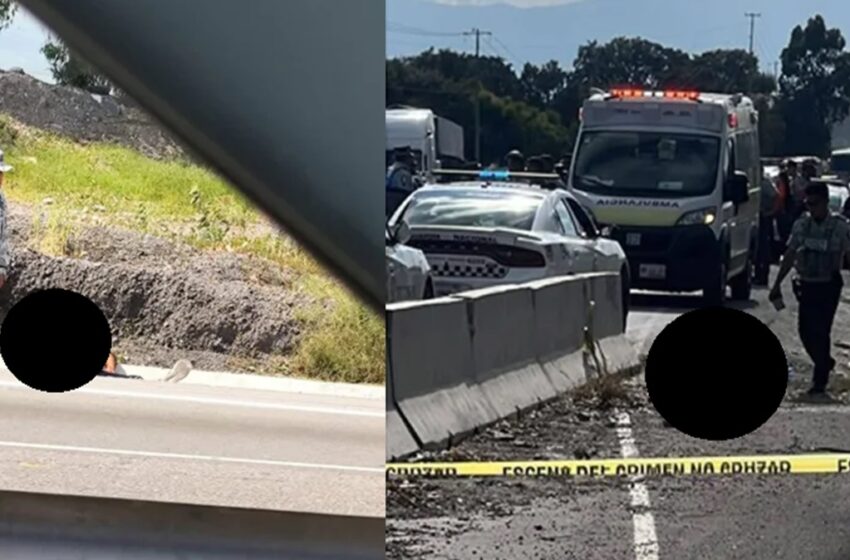  Terror en la carretera: pareja es ejecutada a balazos en la autopista Puebla-Orizaba