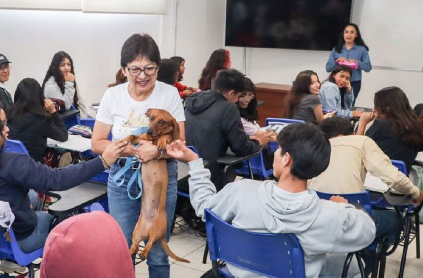  Continuará BUAP como agente estratégico en el desarrollo social