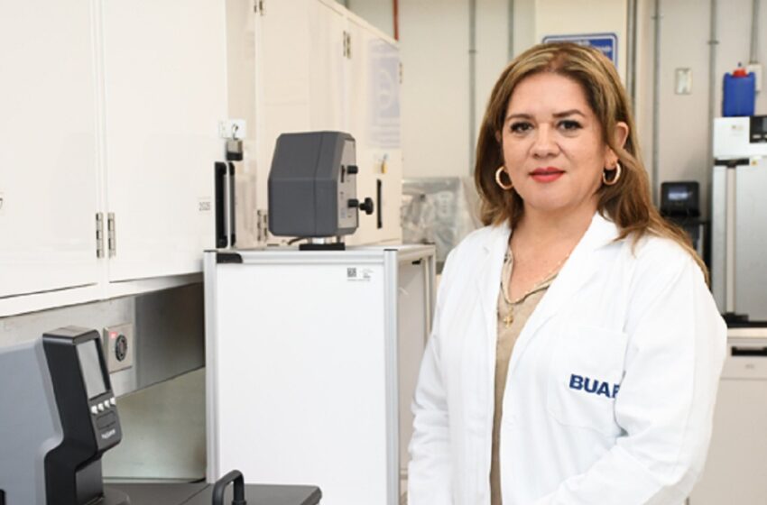  Desarrollan productos con compuestos bioactivos a partir de la planta Tecoma stans, para prevenir diabetes