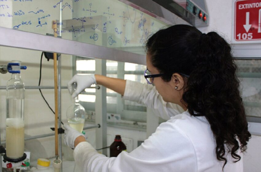  En cuatro años creció 30.5% el número de investigadores BUAP en el SNII