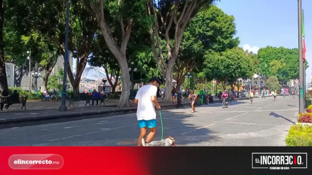 Rodada Patrimonial: narran la historia de Puebla en audios durante ruta interactiva