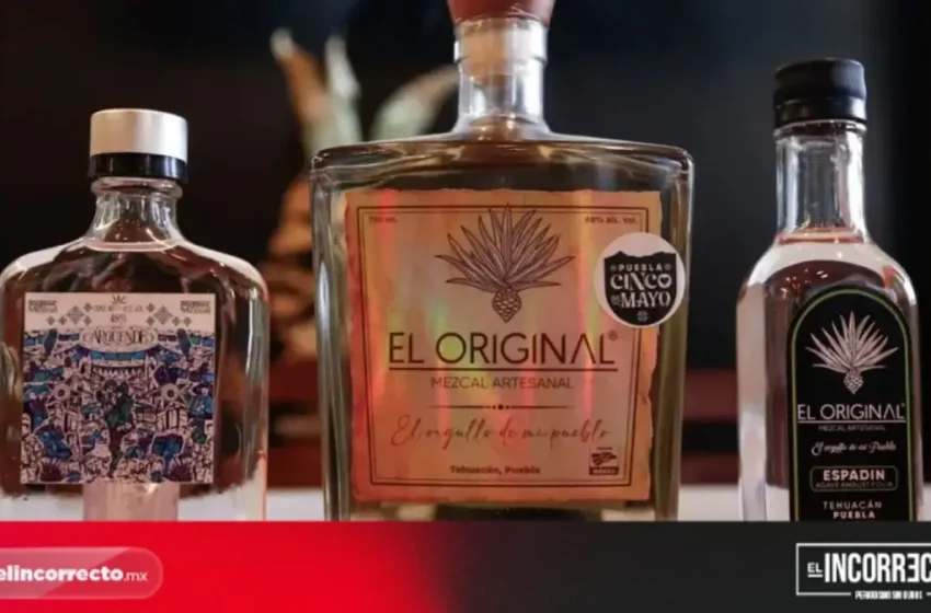  Prepárate para el Encuentro Nacional del Mezcal Puebla 2025
