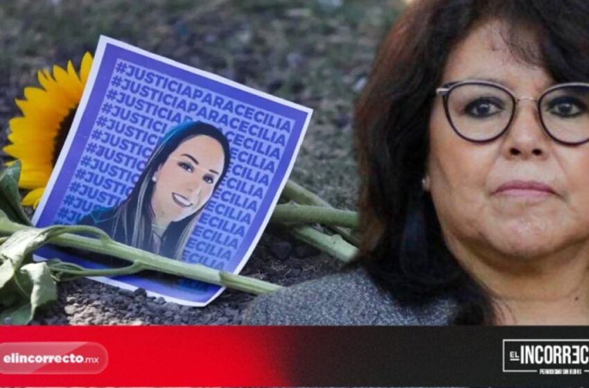  TSJ se deslinda de retrasos en el caso Cecilia Monzón; defensa y MP, los responsables