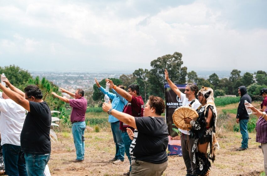  Se realiza la primera jornada de reforestación «Raíces de agua» en el cerro Zapotecas.