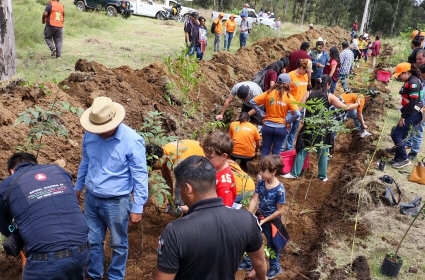  Tonantzin Fernández impulsa acciones ambientales con la jornada “Raíces de Agua” en el Cerro Zapotecas